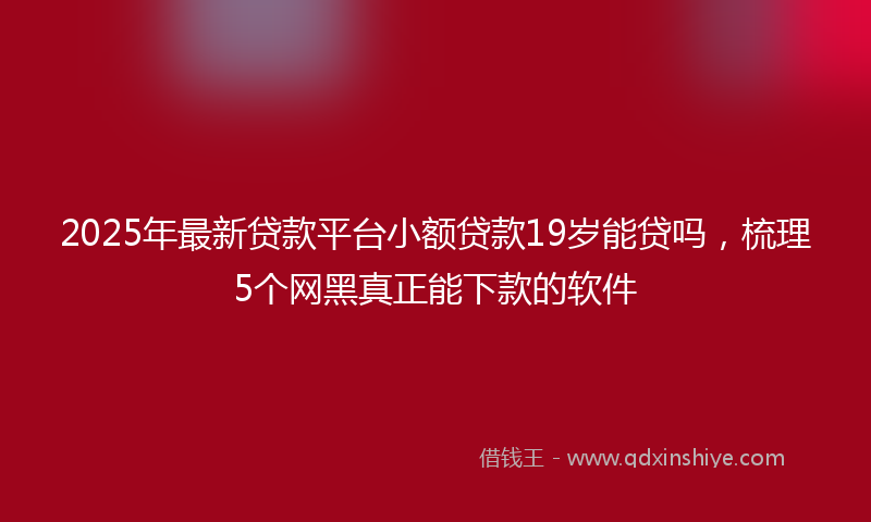 2025年最新贷款平台小额贷款19岁能贷吗，梳理5个网黑真正能下款的软件