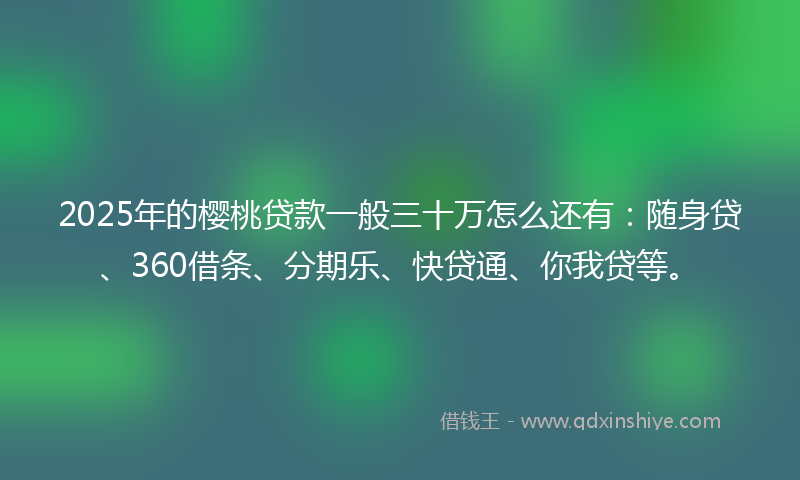 2025年的樱桃贷款一般三十万怎么还有：随身贷、360借条、分期乐、快贷通、你我贷等。