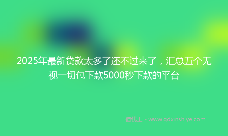 2025年最新贷款太多了还不过来了，汇总五个无视一切包下款5000秒下款的平台