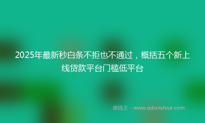 2025年最新秒白条不拒也不通过，概括五个新上线贷款平台门槛低平台