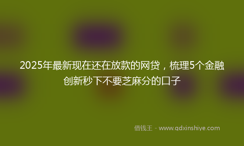 2025年最新现在还在放款的网贷，梳理5个金融创新秒下不要芝麻分的口子