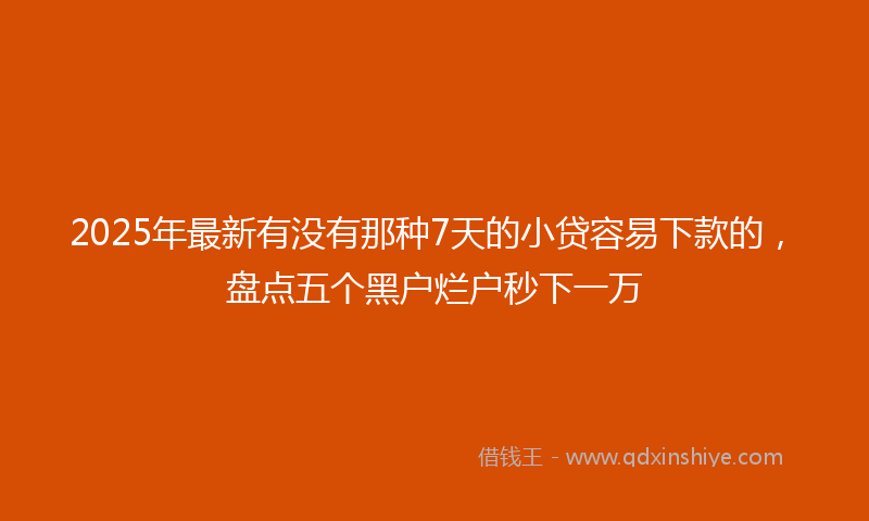 2025年最新有没有那种7天的小贷容易下款的，盘点五个黑户烂户秒下一万