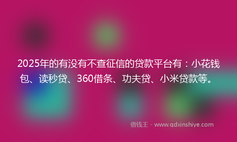 2025年的有没有不查征信的贷款平台有：小花钱包、读秒贷、360借条、功夫贷、小米贷款等。
