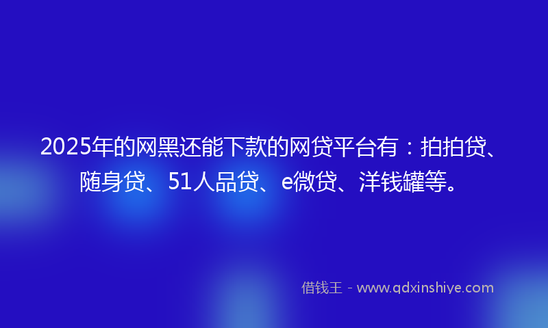 2025年的网黑还能下款的网贷平台有：拍拍贷、随身贷、51人品贷、e微贷、洋钱罐等。