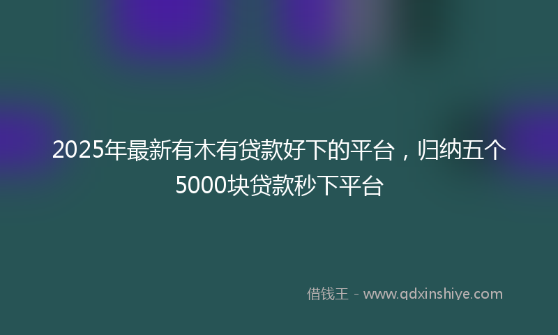 2025年最新有木有贷款好下的平台，归纳五个5000块贷款秒下平台