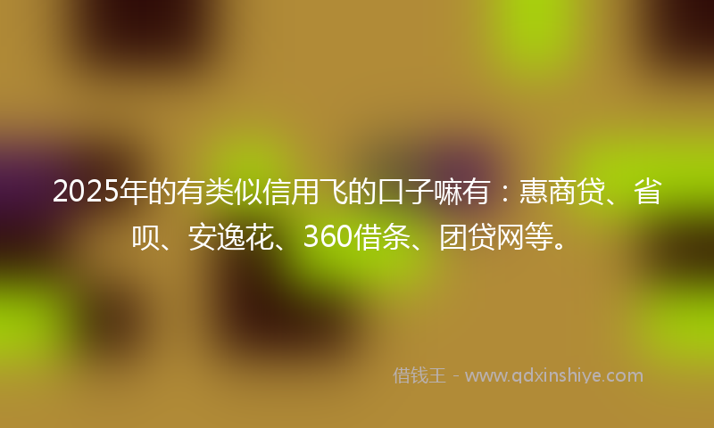 2025年的有类似信用飞的口子嘛有：惠商贷、省呗、安逸花、360借条、团贷网等。