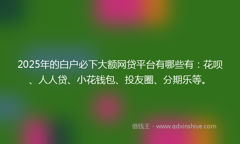 2025年的白户必下大额网贷平台有哪些有：花呗、人人贷、小花钱包、投友圈、分期乐等。