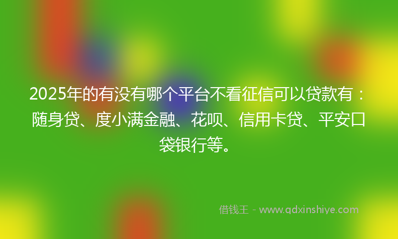 2025年的有没有哪个平台不看征信可以贷款有：随身贷、度小满金融、花呗、信用卡贷、平安口袋银行等。