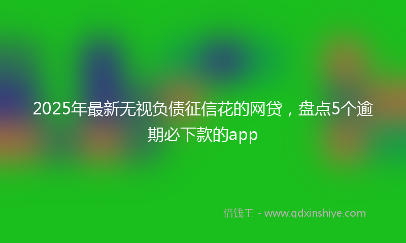 2025年最新无视负债征信花的网贷，盘点5个逾期必下款的app