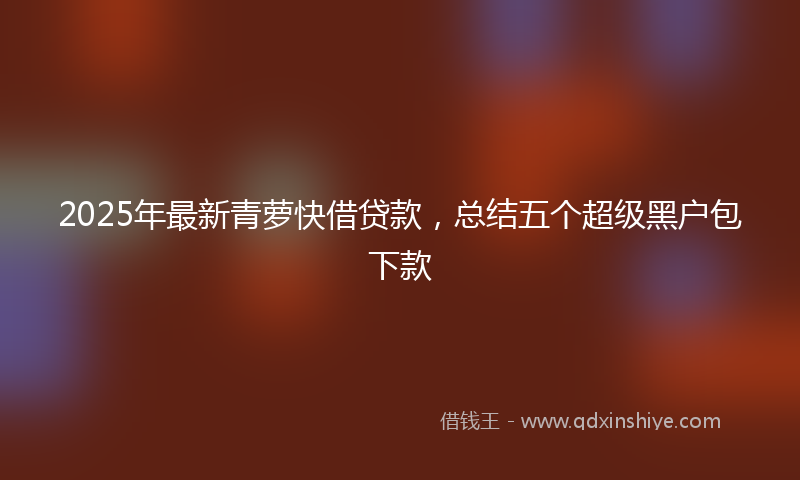 2025年最新青萝快借贷款，总结五个超级黑户包下款