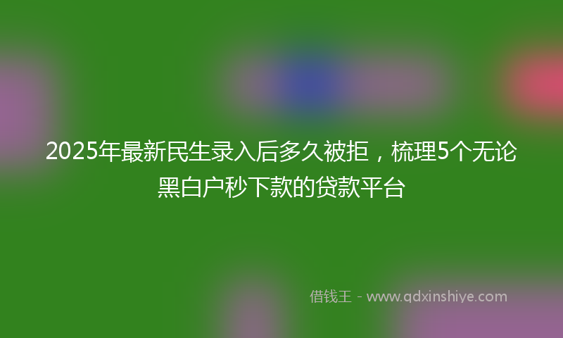 2025年最新民生录入后多久被拒，梳理5个无论黑白户秒下款的贷款平台