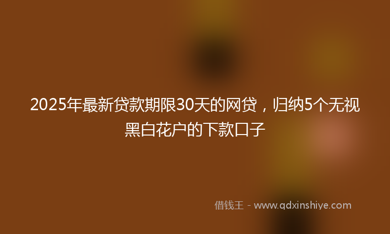 2025年最新贷款期限30天的网贷，归纳5个无视黑白花户的下款口子