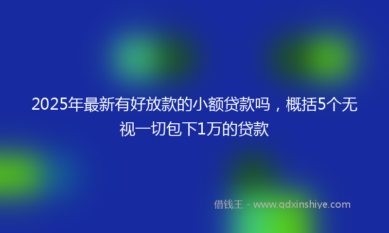 2025年最新有好放款的小额贷款吗，概括5个无视一切包下1万的贷款
