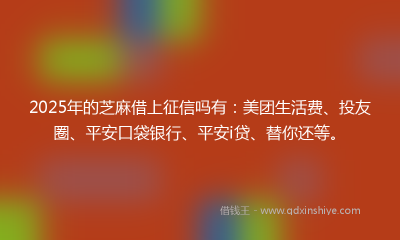 2025年的芝麻借上征信吗有：美团生活费、投友圈、平安口袋银行、平安i贷、替你还等。