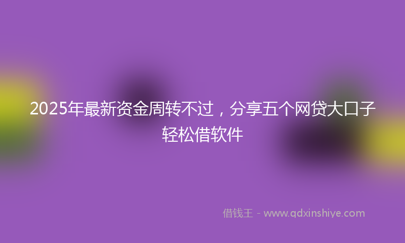 2025年最新资金周转不过，分享五个网贷大口子轻松借软件