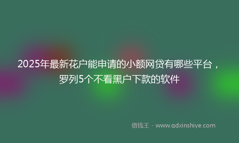 2025年最新花户能申请的小额网贷有哪些平台，罗列5个不看黑户下款的软件