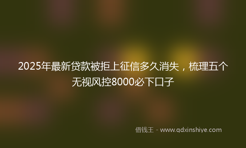 2025年最新贷款被拒上征信多久消失，梳理五个无视风控8000必下口子