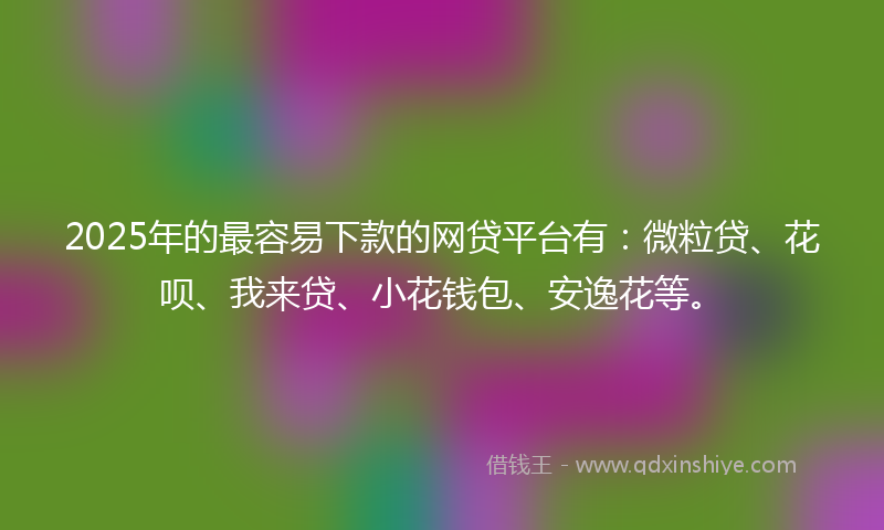 2025年的最容易下款的网贷平台有：微粒贷、花呗、我来贷、小花钱包、安逸花等。