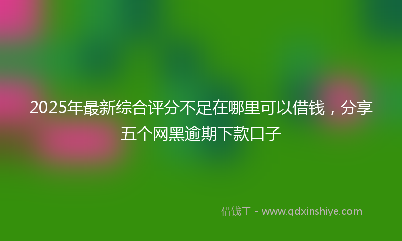 2025年最新综合评分不足在哪里可以借钱，分享五个网黑逾期下款口子