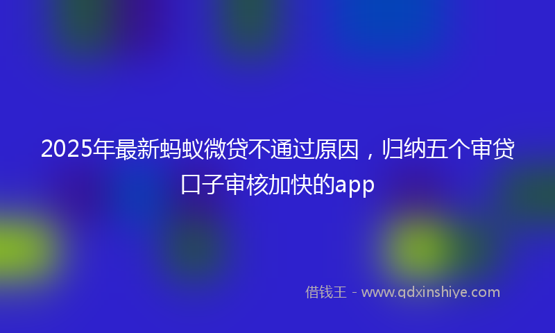 2025年最新蚂蚁微贷不通过原因，归纳五个审贷口子审核加快的app