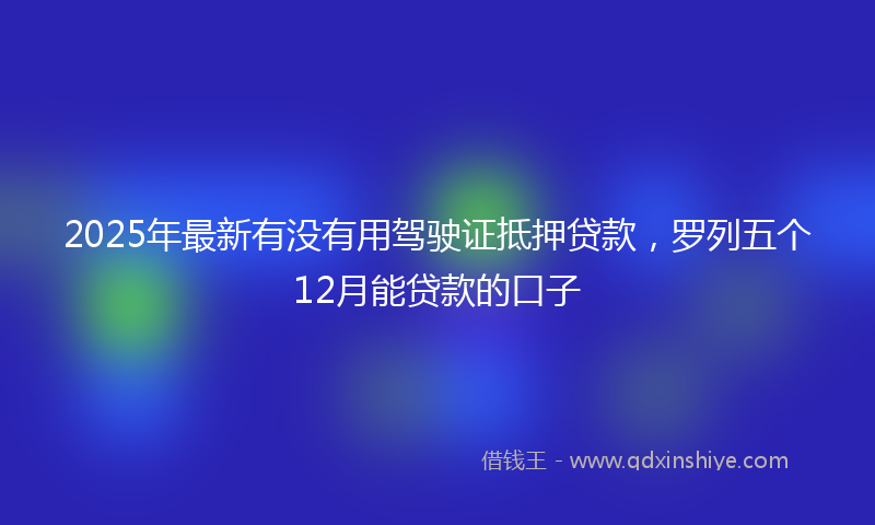 2025年最新有没有用驾驶证抵押贷款，罗列五个12月能贷款的口子