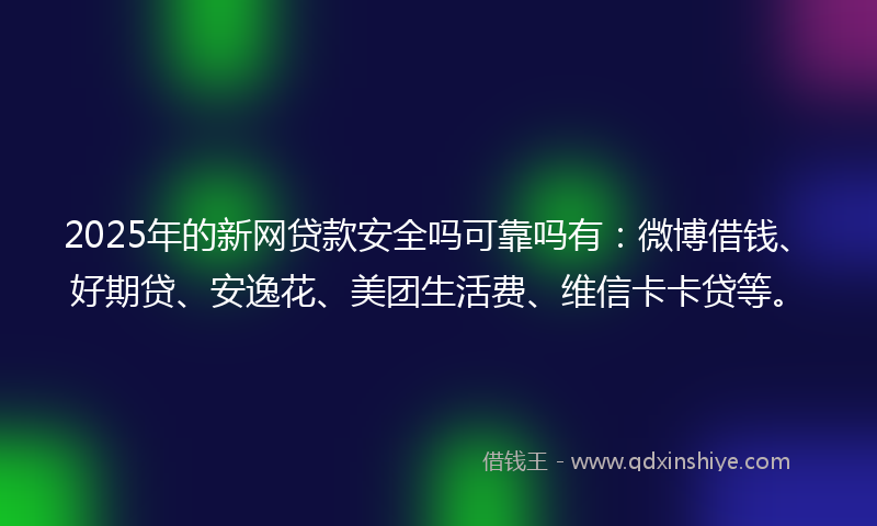 2025年的新网贷款安全吗可靠吗有：微博借钱、好期贷、安逸花、美团生活费、维信卡卡贷等。