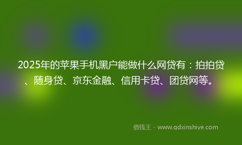 2025年的苹果手机黑户能做什么网贷有：拍拍贷、随身贷、京东金融、信用卡贷、团贷网等。