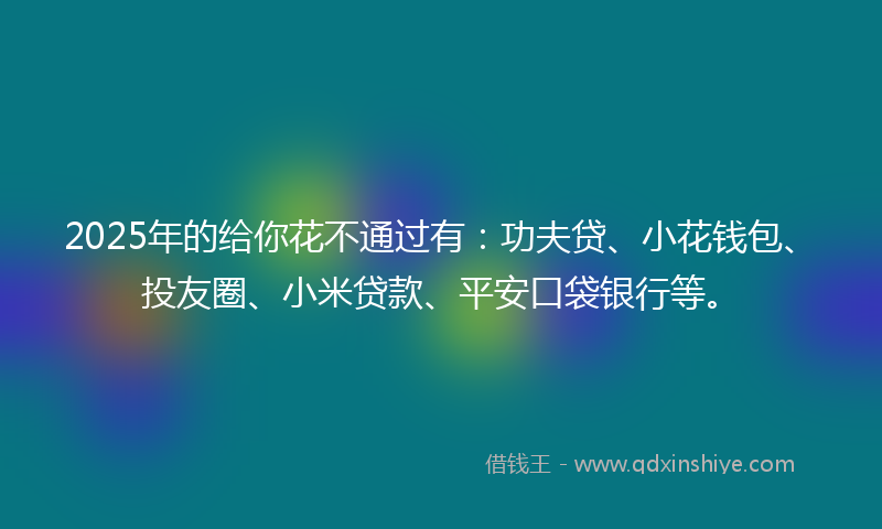 2025年的给你花不通过有：功夫贷、小花钱包、投友圈、小米贷款、平安口袋银行等。
