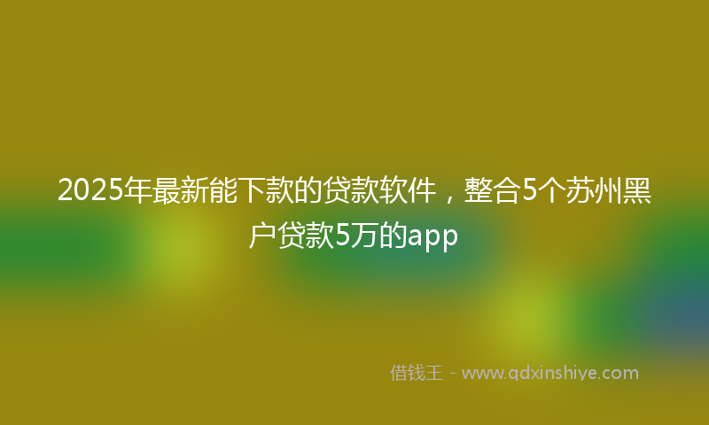 2025年最新能下款的贷款软件，整合5个苏州黑户贷款5万的app