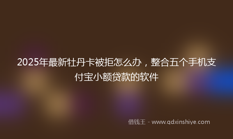 2025年最新牡丹卡被拒怎么办，整合五个手机支付宝小额贷款的软件