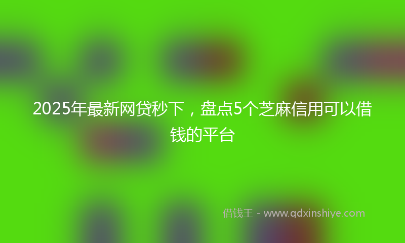 2025年最新网贷秒下，盘点5个芝麻信用可以借钱的平台