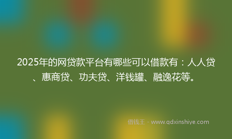 2025年的网贷款平台有哪些可以借款有：人人贷、惠商贷、功夫贷、洋钱罐、融逸花等。