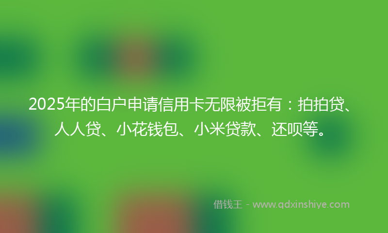 2025年的白户申请信用卡无限被拒有：拍拍贷、人人贷、小花钱包、小米贷款、还呗等。
