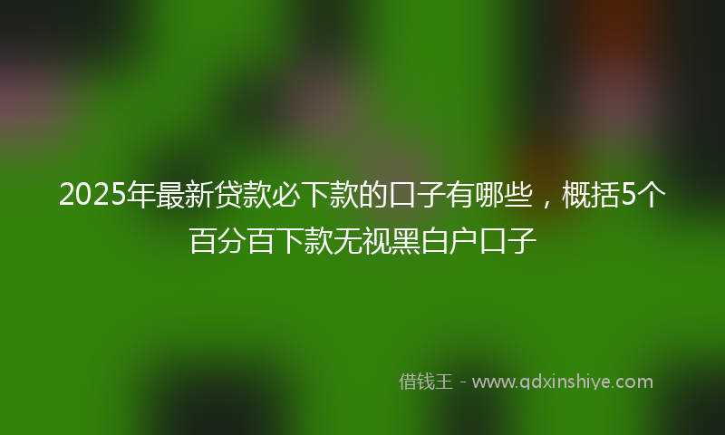 2025年最新贷款必下款的口子有哪些，概括5个百分百下款无视黑白户口子