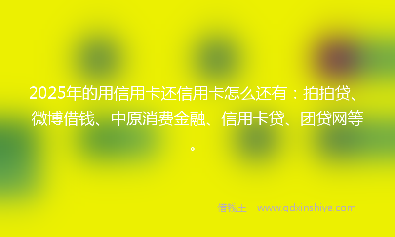 2025年的用信用卡还信用卡怎么还有：拍拍贷、微博借钱、中原消费金融、信用卡贷、团贷网等。