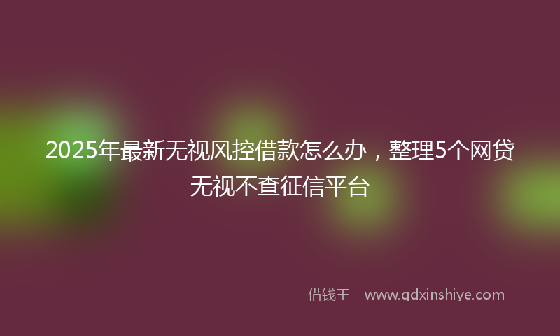 2025年最新无视风控借款怎么办，整理5个网贷无视不查征信平台