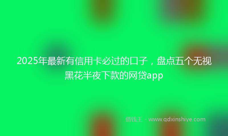 2025年最新有信用卡必过的口子，盘点五个无视黑花半夜下款的网贷app