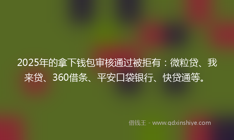 2025年的拿下钱包审核通过被拒有：微粒贷、我来贷、360借条、平安口袋银行、快贷通等。