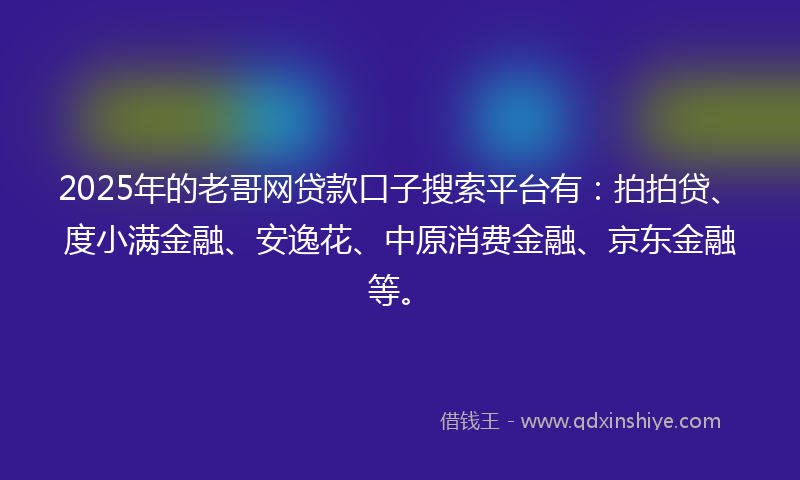 2025年的老哥网贷款口子搜索平台有：拍拍贷、度小满金融、安逸花、中原消费金融、京东金融等。
