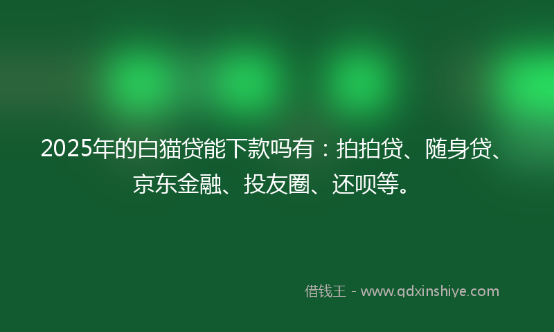 2025年的白猫贷能下款吗有：拍拍贷、随身贷、京东金融、投友圈、还呗等。