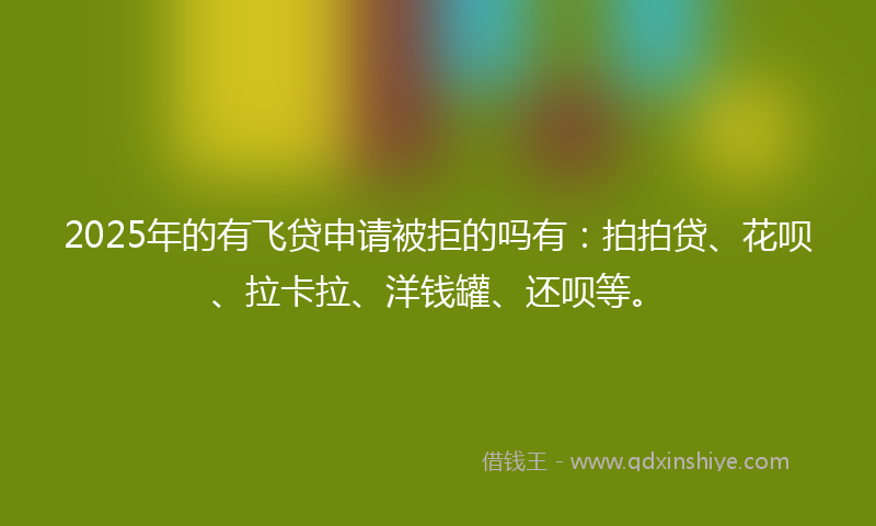 2025年的有飞贷申请被拒的吗有：拍拍贷、花呗、拉卡拉、洋钱罐、还呗等。