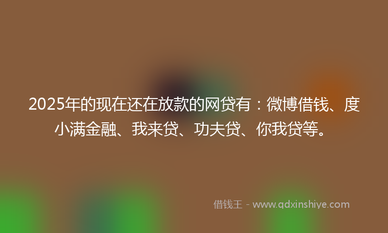 2025年的现在还在放款的网贷有：微博借钱、度小满金融、我来贷、功夫贷、你我贷等。