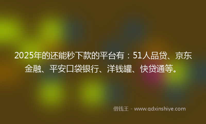 2025年的还能秒下款的平台有：51人品贷、京东金融、平安口袋银行、洋钱罐、快贷通等。