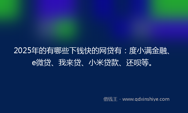 2025年的有哪些下钱快的网贷有：度小满金融、e微贷、我来贷、小米贷款、还呗等。