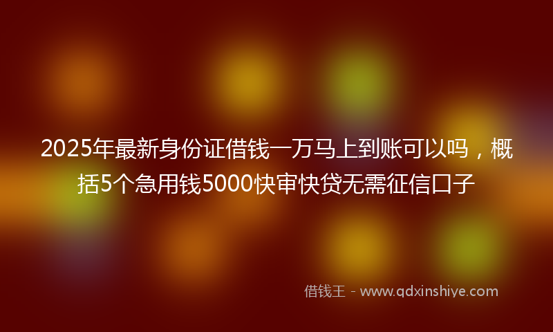 2025年最新身份证借钱一万马上到账可以吗，概括5个急用钱5000快审快贷无需征信口子