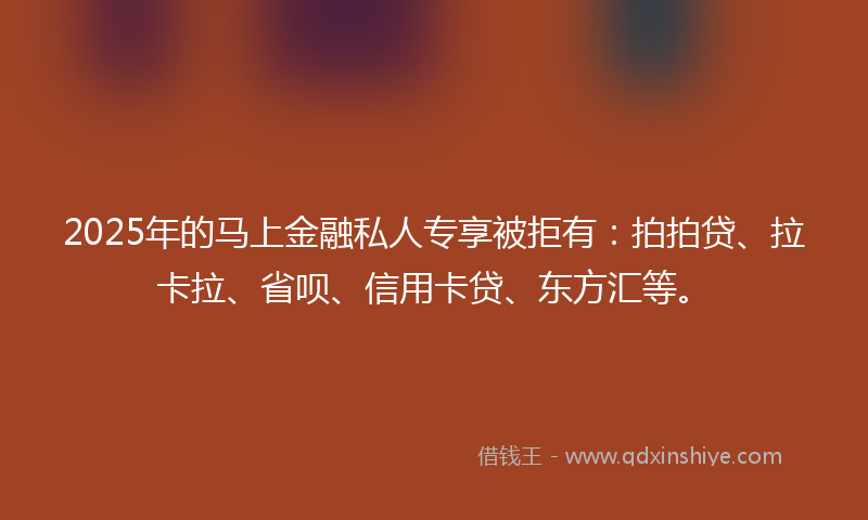 2025年的马上金融私人专享被拒有：拍拍贷、拉卡拉、省呗、信用卡贷、东方汇等。
