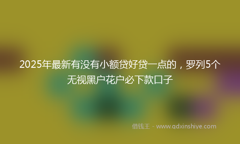 2025年最新有没有小额贷好贷一点的，罗列5个无视黑户花户必下款口子