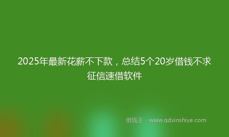 2025年最新花薪不下款，总结5个20岁借钱不求征信速借软件