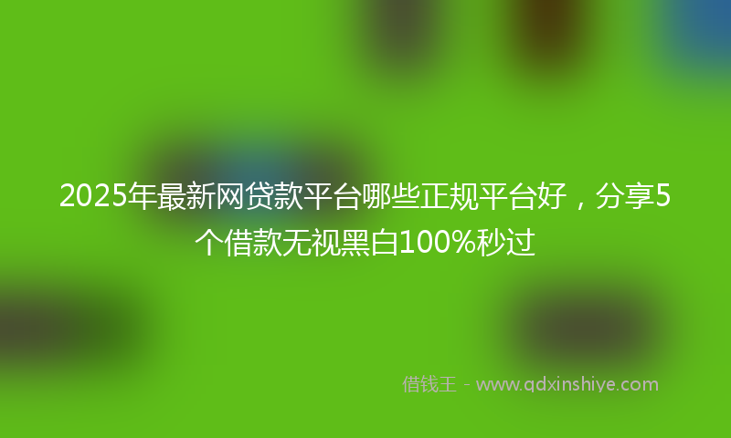2025年最新网贷款平台哪些正规平台好，分享5个借款无视黑白100%秒过