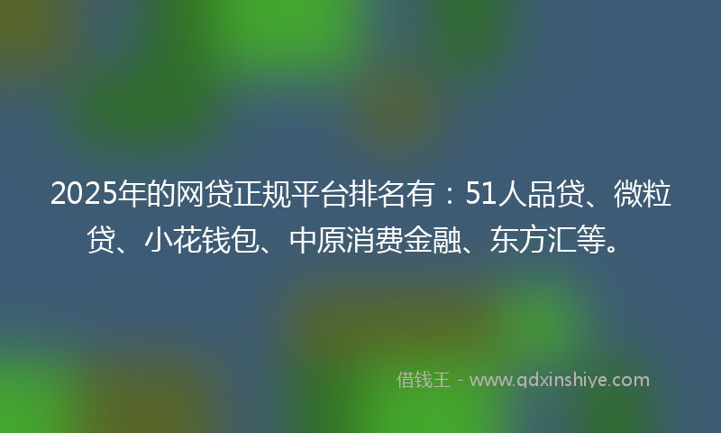 2025年的网贷正规平台排名有：51人品贷、微粒贷、小花钱包、中原消费金融、东方汇等。